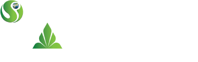 project logo